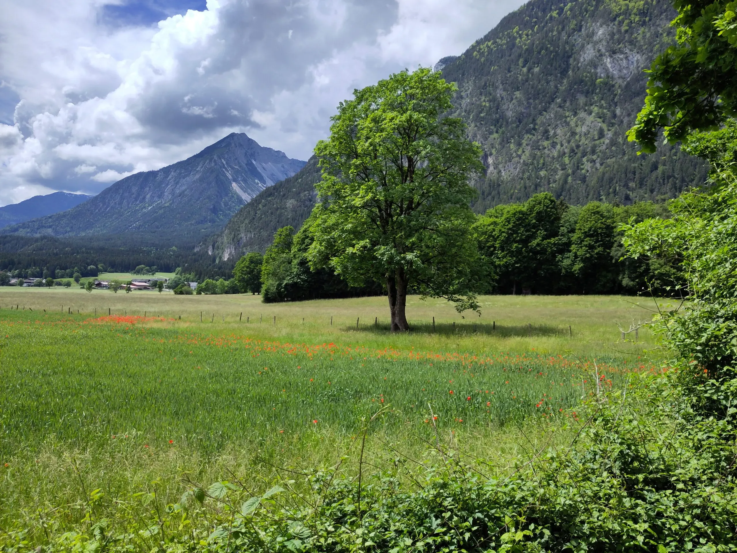 Malerische Hausrunde direkt vor der Haustür